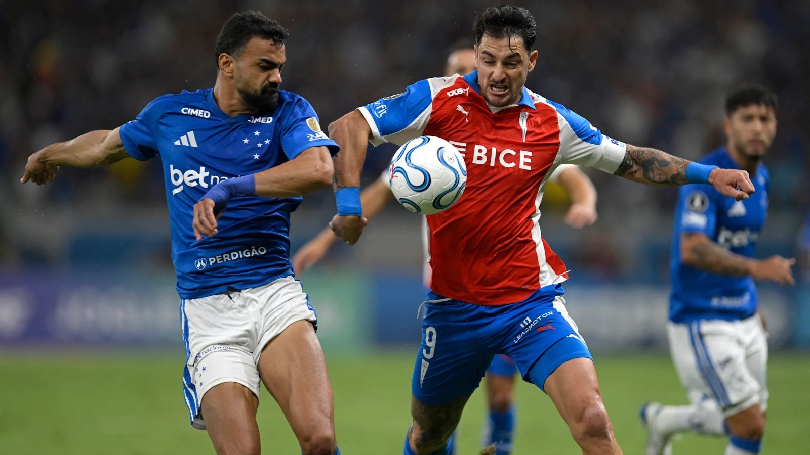 Cruzeiro Católica Libertadores