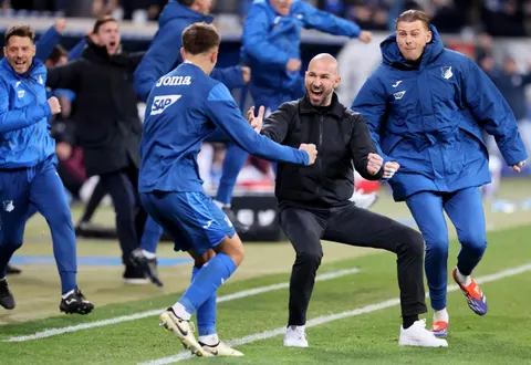 christian ilzer tsg hoffenheim