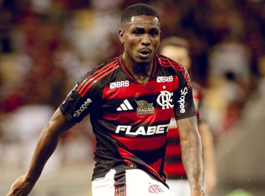 Evertton Araújo, Flamengo