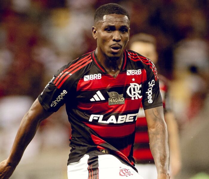 Evertton Araújo, Flamengo