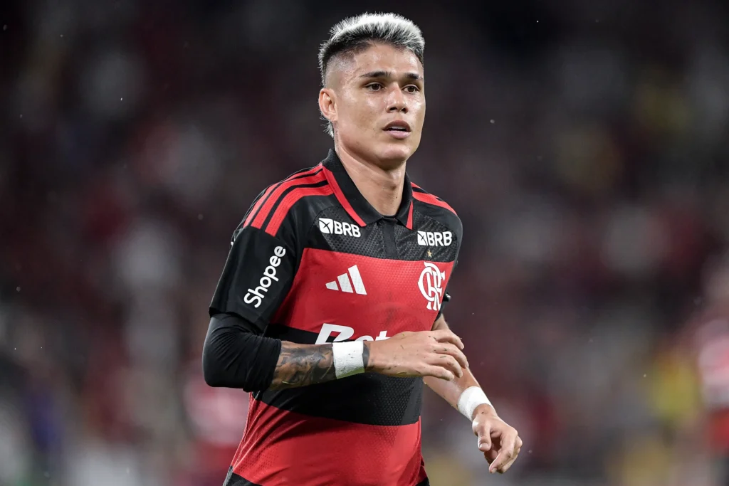 Luiz Araújo, Flamengo