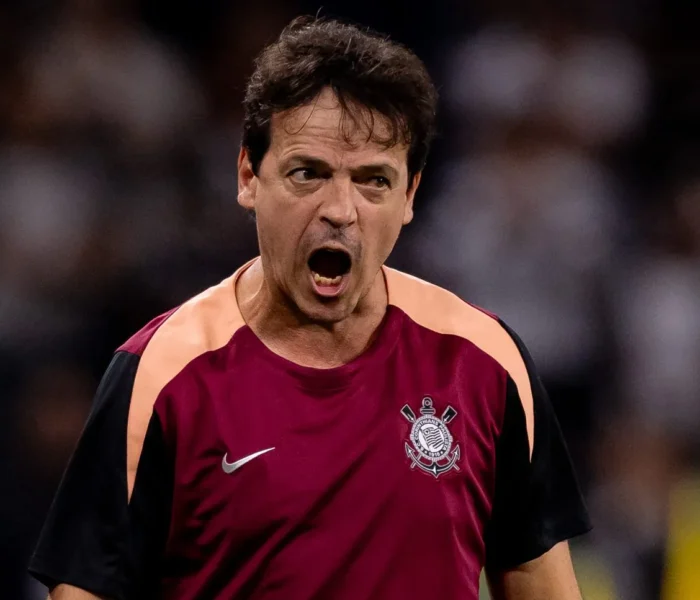 Fernando Diniz