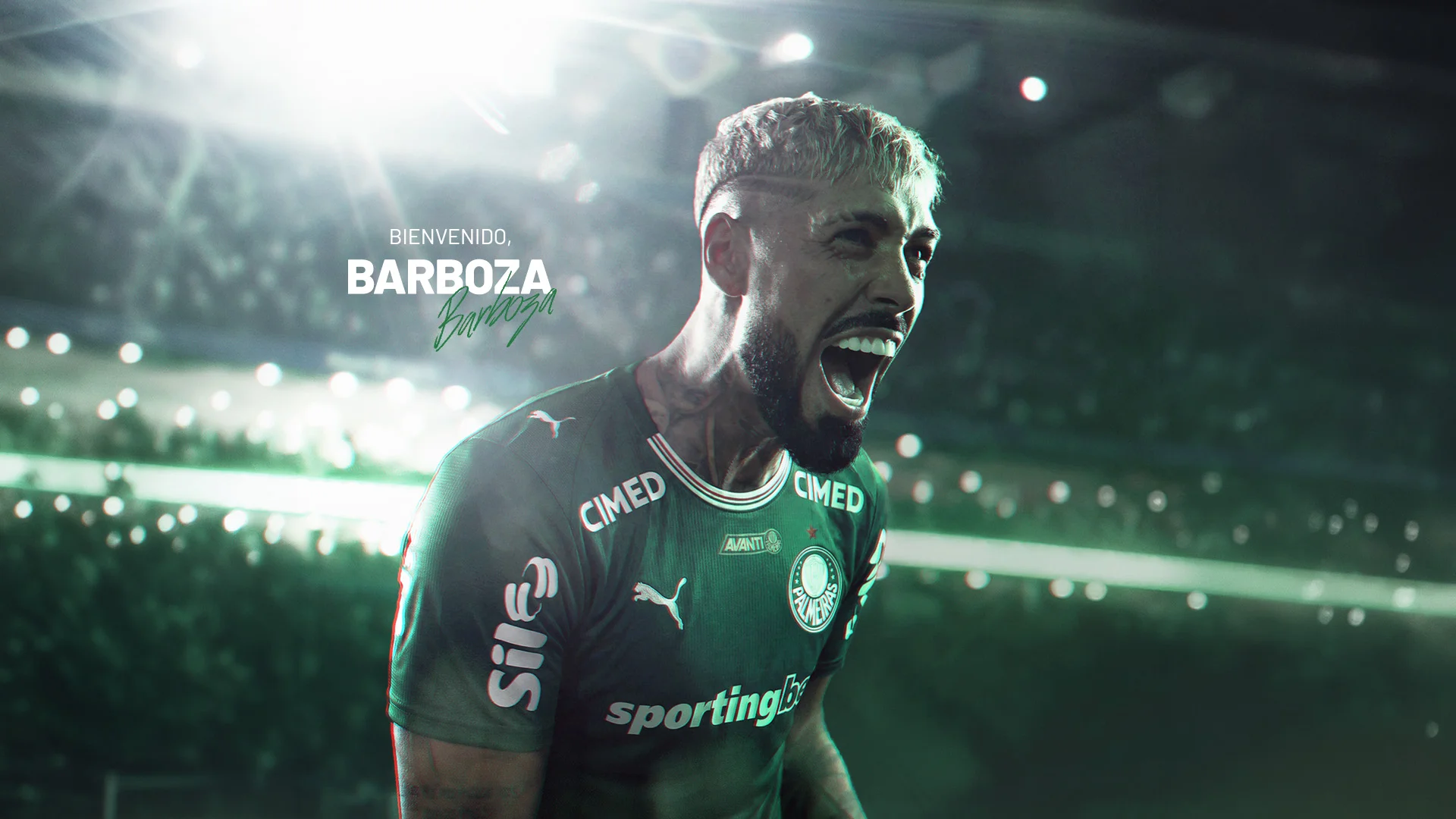 Alexander Barboza Palmeiras