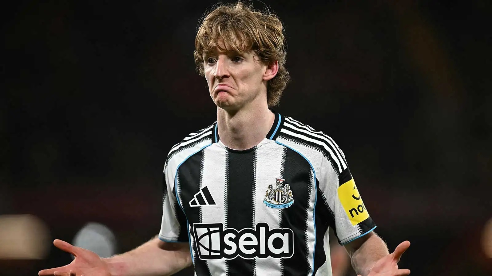 Barcelona Gordon