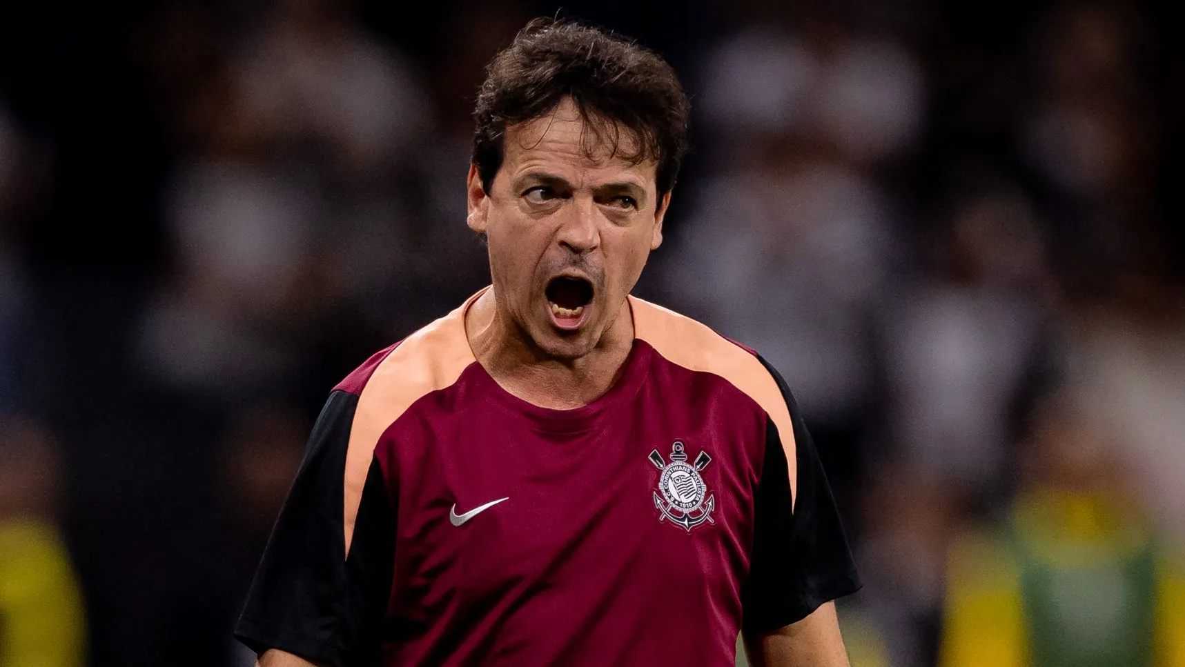 Fernando Diniz