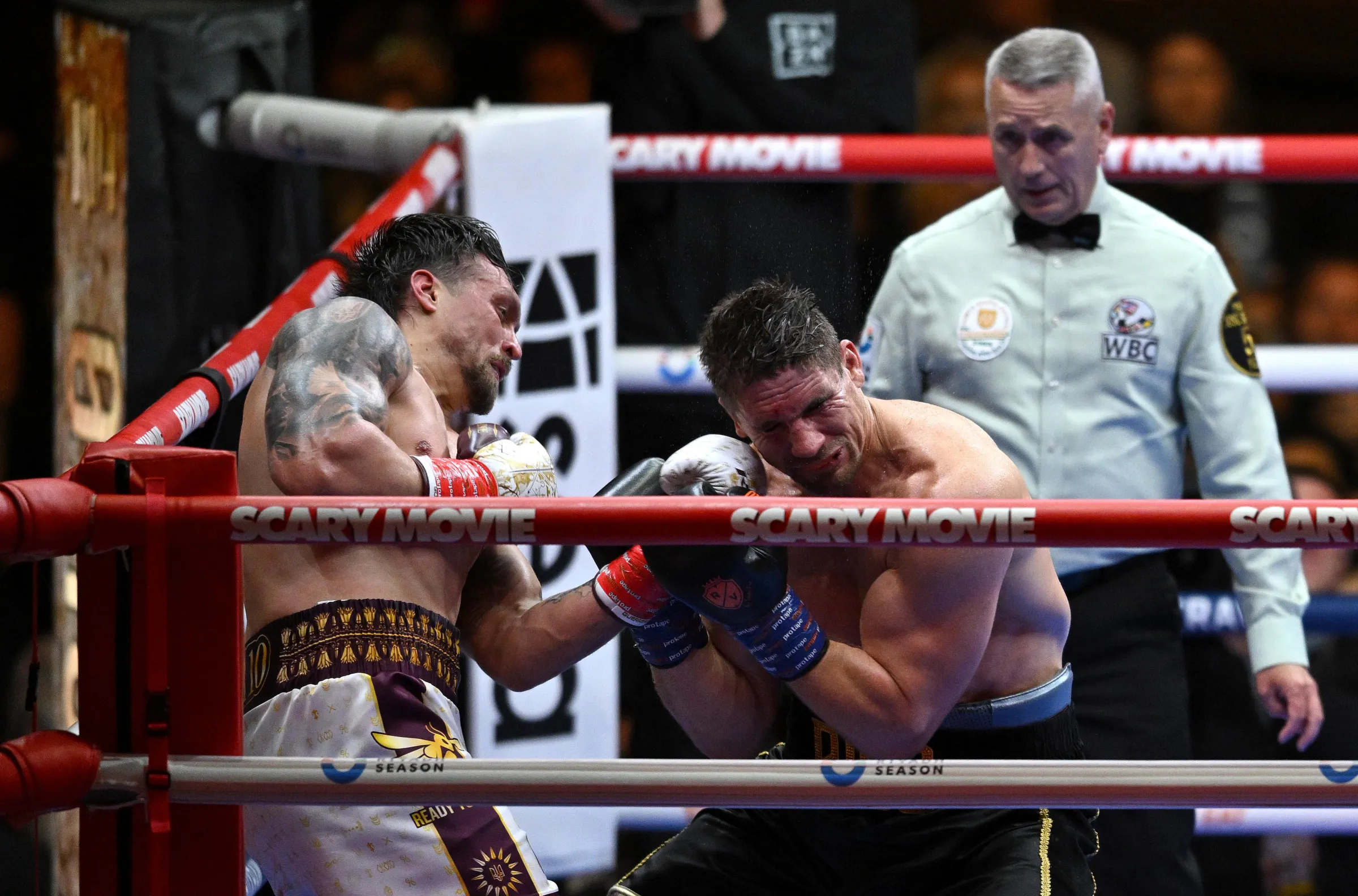 Usyk vs Verhoeven