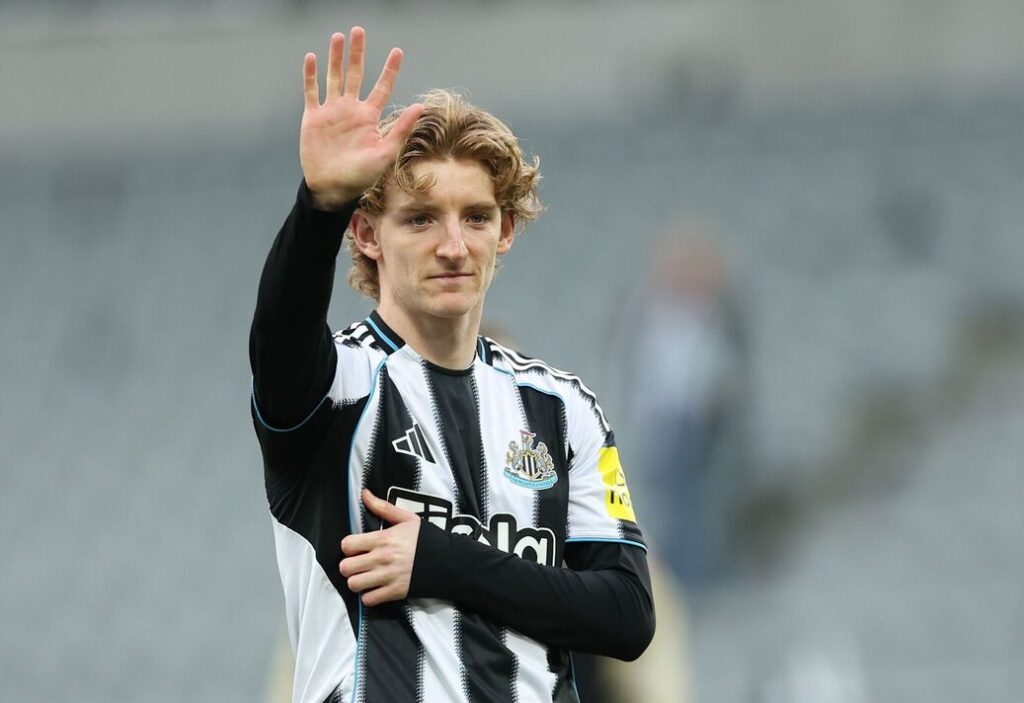 Anthony Gordon, Newcastle