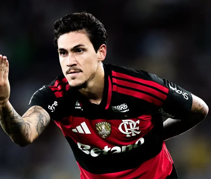 Pedro - Flamengo
