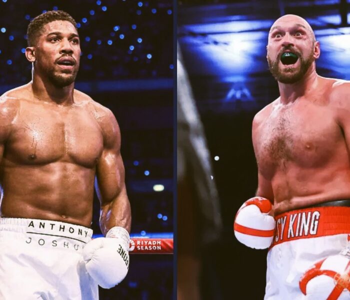 Joshua x Fury