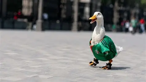 Merlin, Pato, Copa do Mundo 2026. Foto: Reprodução/Click.com.br