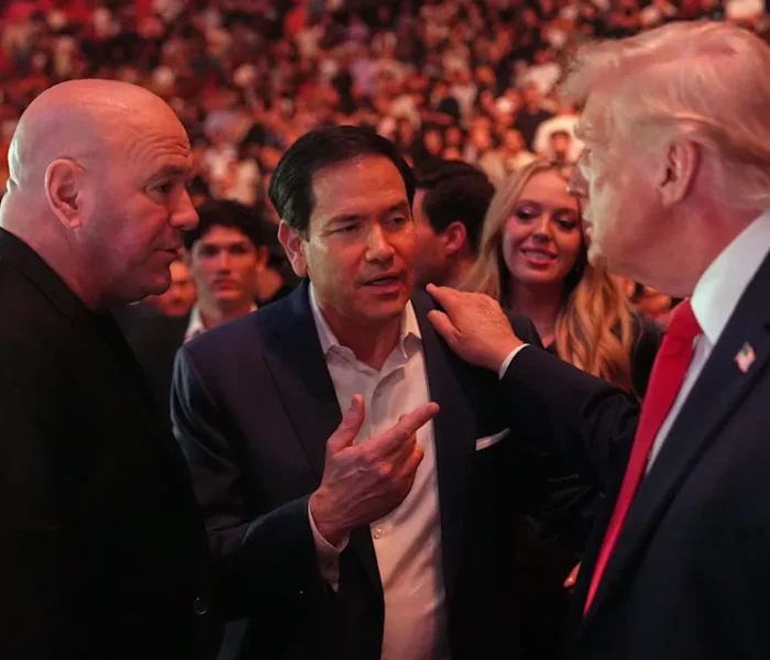 UFC Dana White Donald Trump