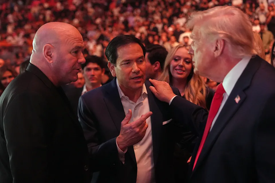 UFC Dana White Donald Trump