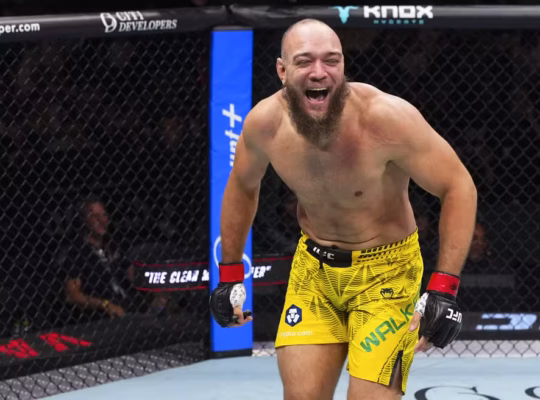 Valter Walker UFC