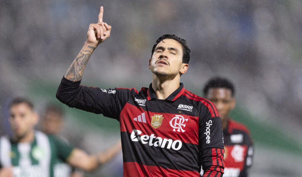 Pedro se isola na artilharia e tendência é ultrapassar os 20 gols no Brasileirão