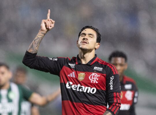 Pedro se isola na artilharia e tendência é ultrapassar os 20 gols no Brasileirão