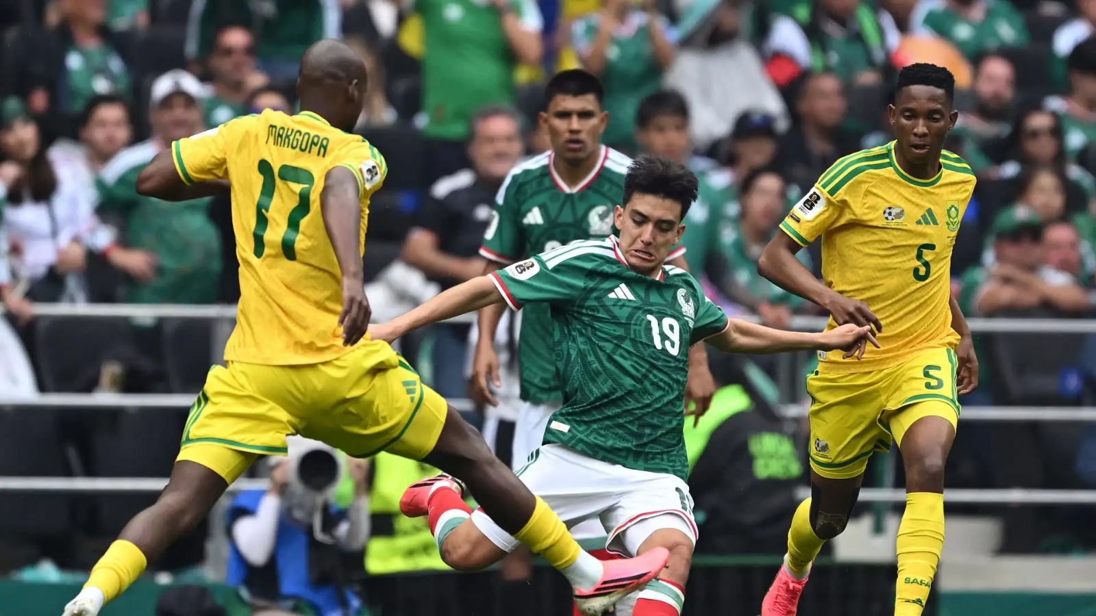 Mora México