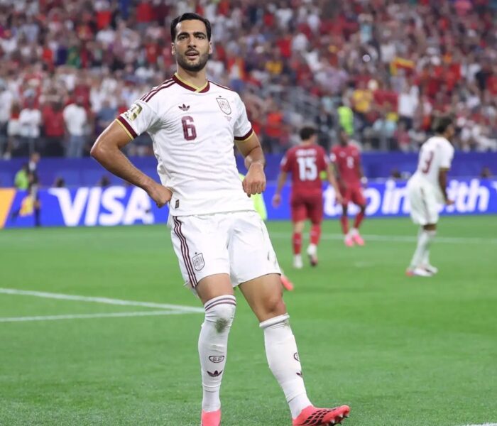 Merino Espanha