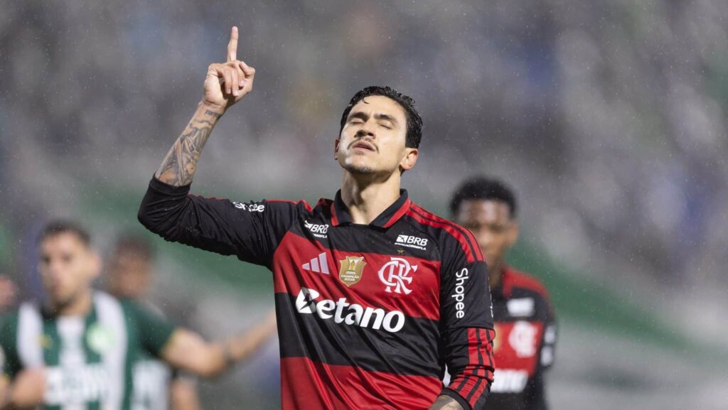 Pedro, Flamengo, Foto: Liamara Polli/AGIF.