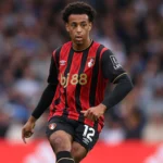 tyler adams united