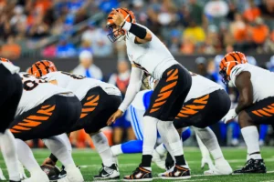 NFL projeção AFC North.