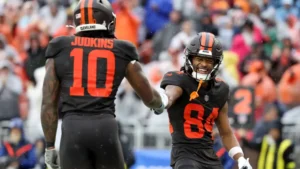 NFL projeção AFC North.