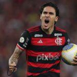 Pedro Flamengo