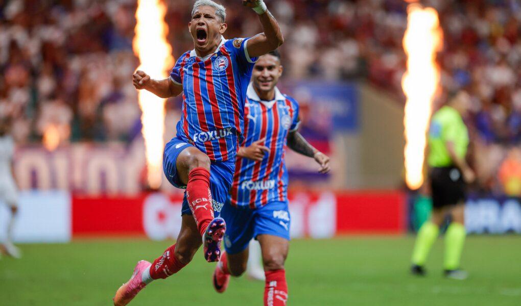 bahia erick pulga
