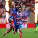 bahia erick pulga