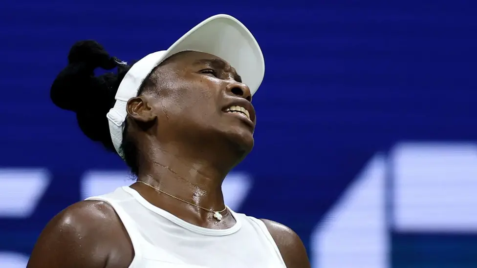 Novak Djokovic Venus Williams