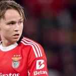 andreas schjelderup benfica tottenham