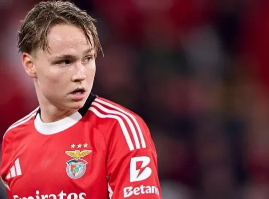 andreas schjelderup benfica tottenham