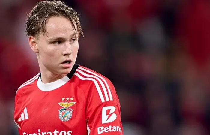 andreas schjelderup benfica tottenham