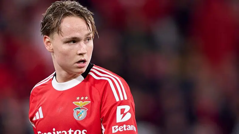 andreas schjelderup benfica tottenham