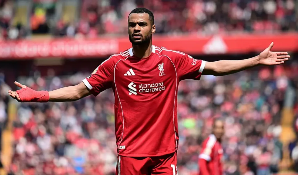 gakpo liverpool