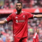 gakpo liverpool