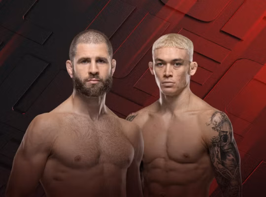 Prochazka ufc