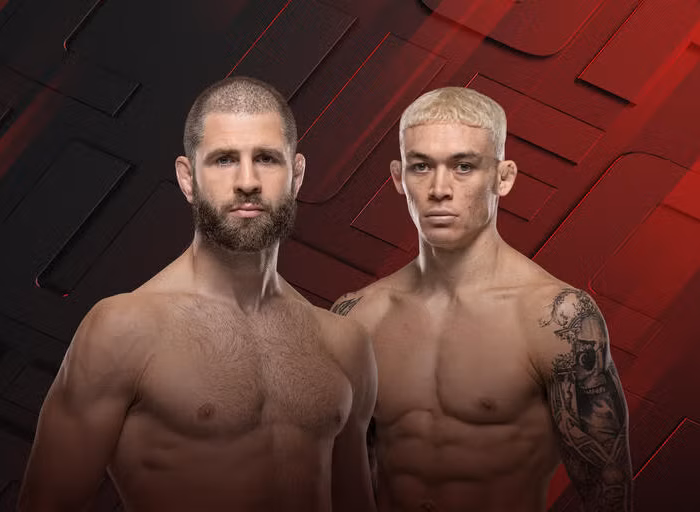 Prochazka ufc