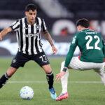 Botafogo e Palmeiras ficaram no 0 a 0 no Nilton Santos
