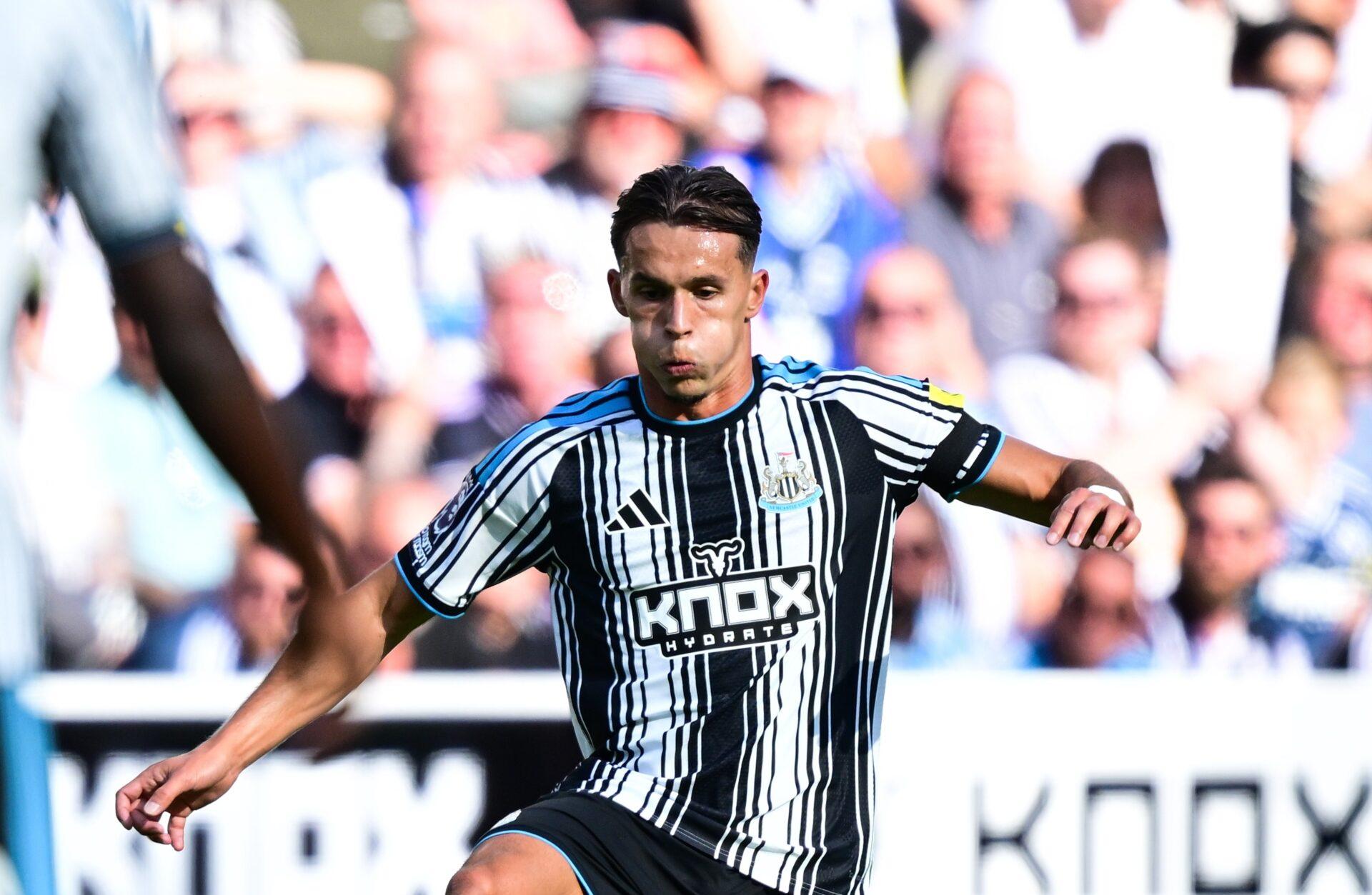 Amar Dedic Newcastle