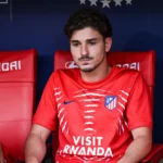 Data Fifa Alvarez