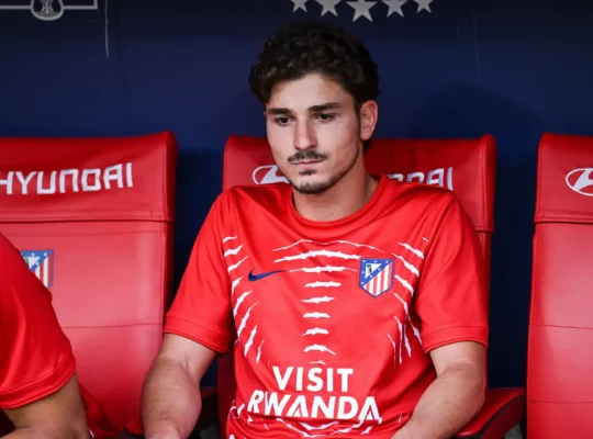 Data Fifa Alvarez