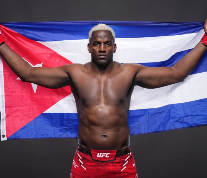 Despaigne UFC