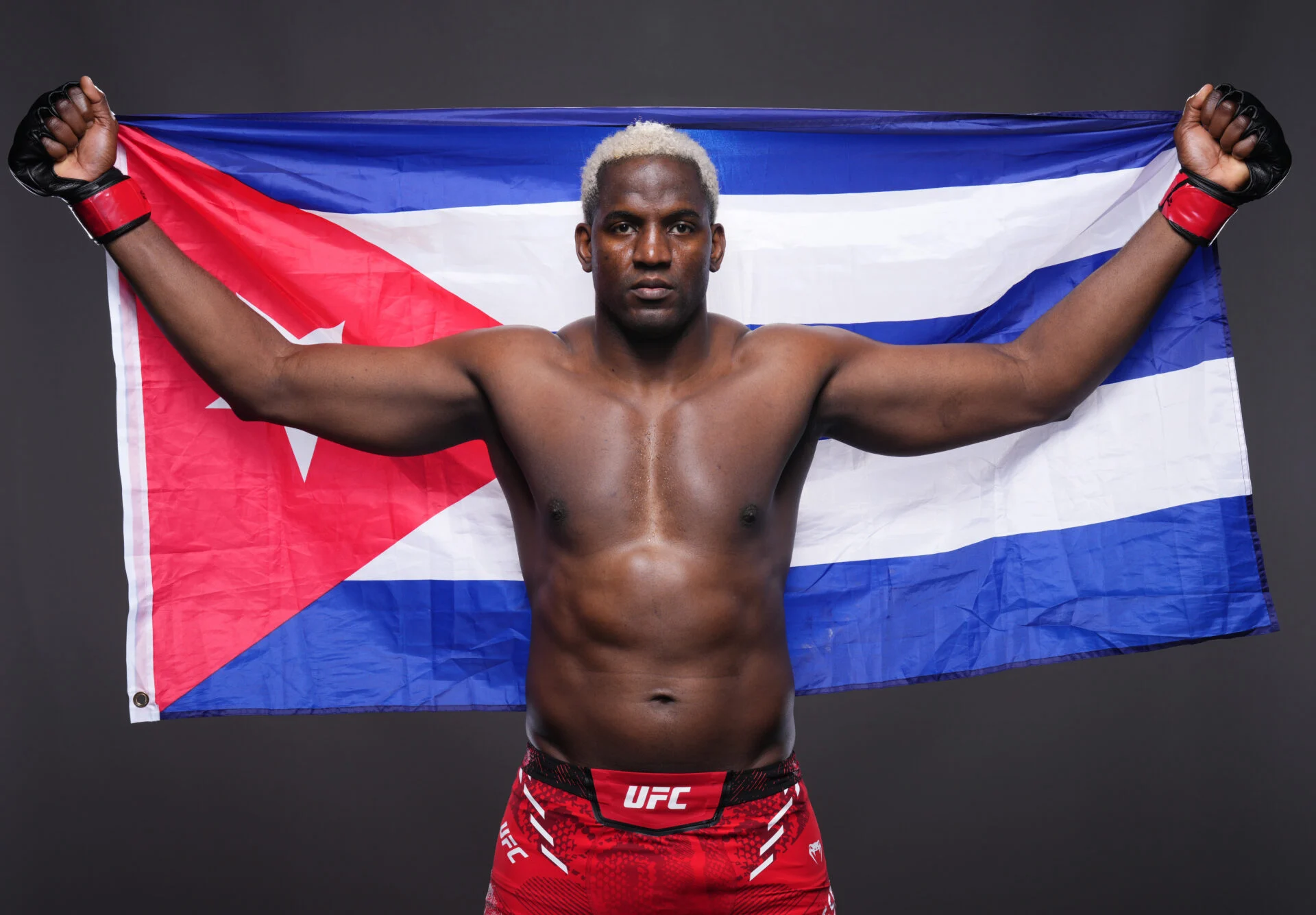 Despaigne UFC
