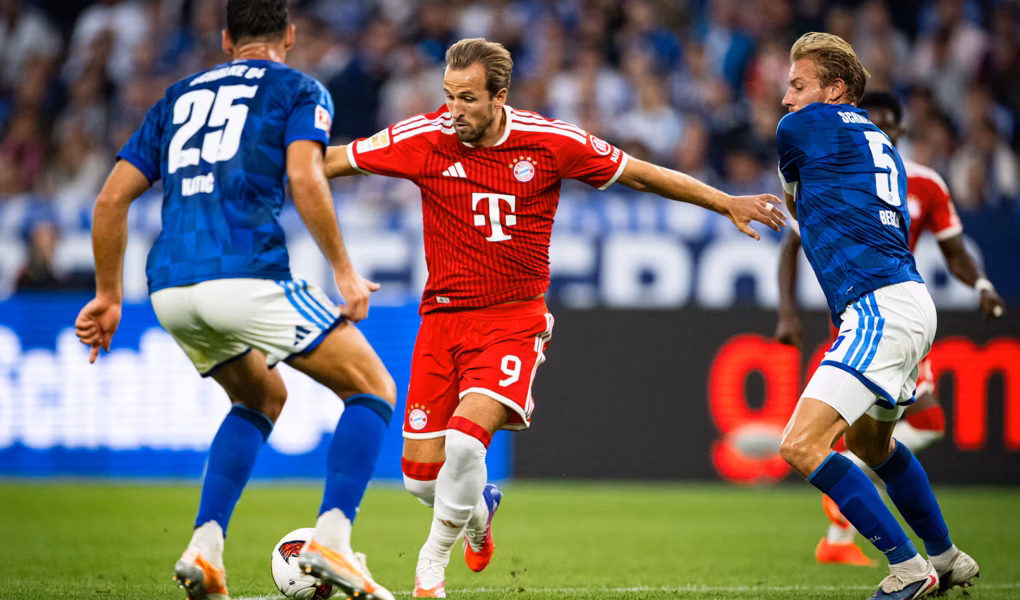 Kane Bayern Schalke