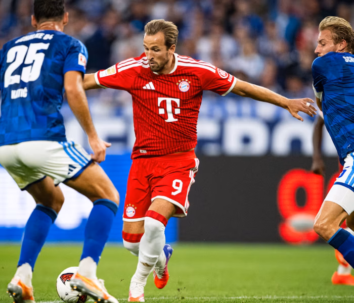 Kane Bayern Schalke