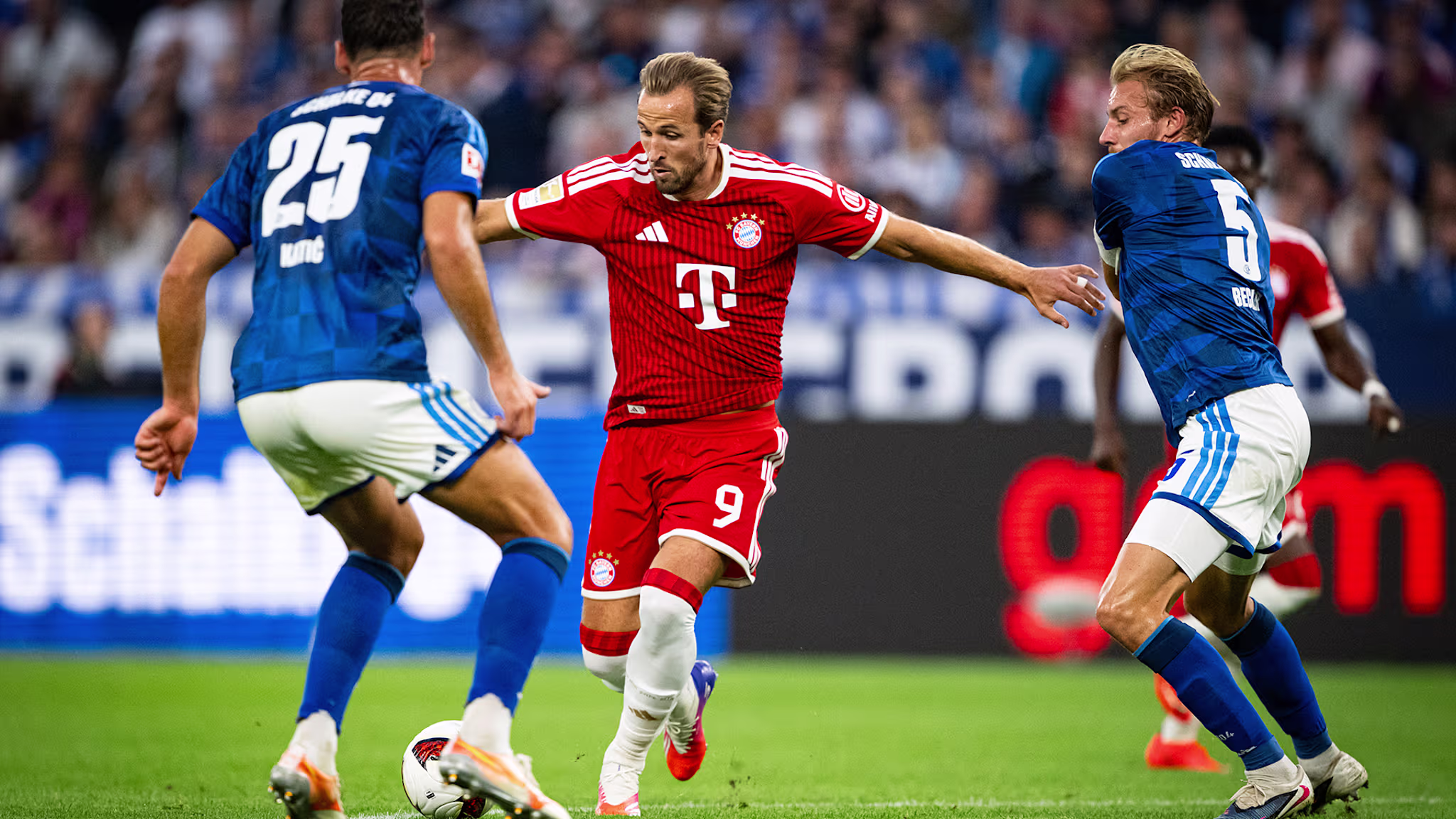 Kane Bayern Schalke