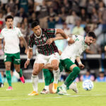Fluminense Palmeiras Libertadores