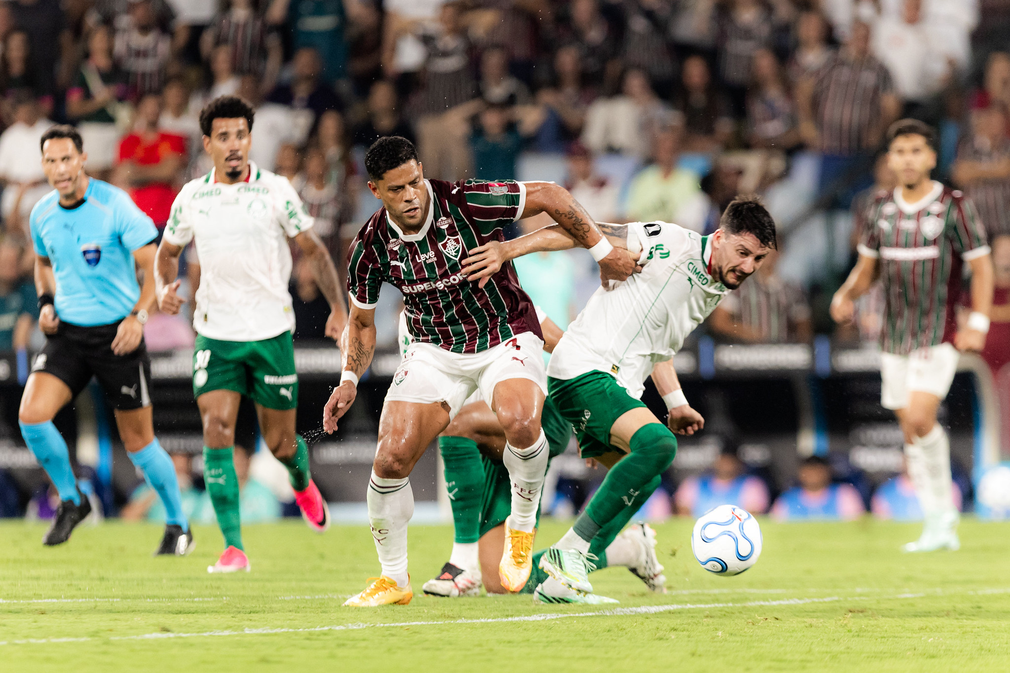 Fluminense Palmeiras Libertadores